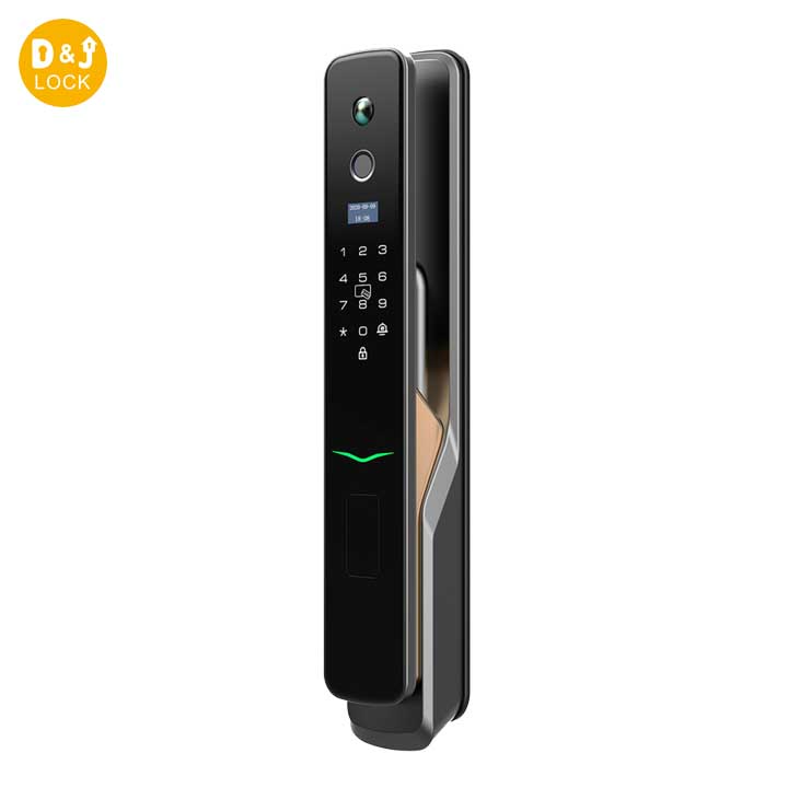 Control remoto Biométrico Puerta de huella digital Lock OEM Electronic Puerta Lock Smart Automatic Smart Puerta Bloqueo