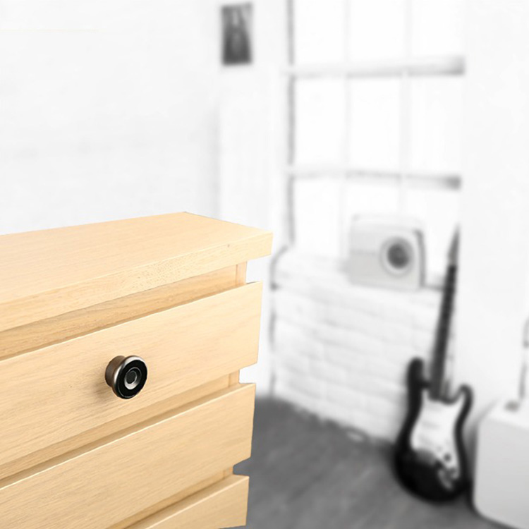 Introduce la cerradura de la huella dactilar del gabinete pequeño de la cerradura recargable recargable