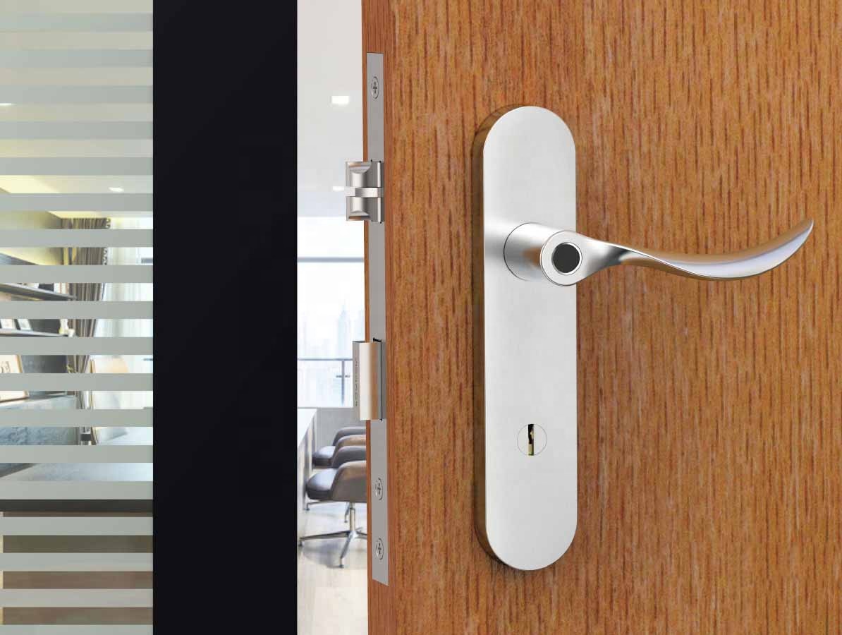 BIOMETICO DOBLE LADO DE PUERTA DE PUERTA INTELIGENTE CONTROL DE SISTEMA DE CANAJE INTELIGENTE INICIO DE CANAJE PUERTA DE PUERTE DE DIENTÍN DE PUERTA DIGITAL INTELIGENTE Cerradura